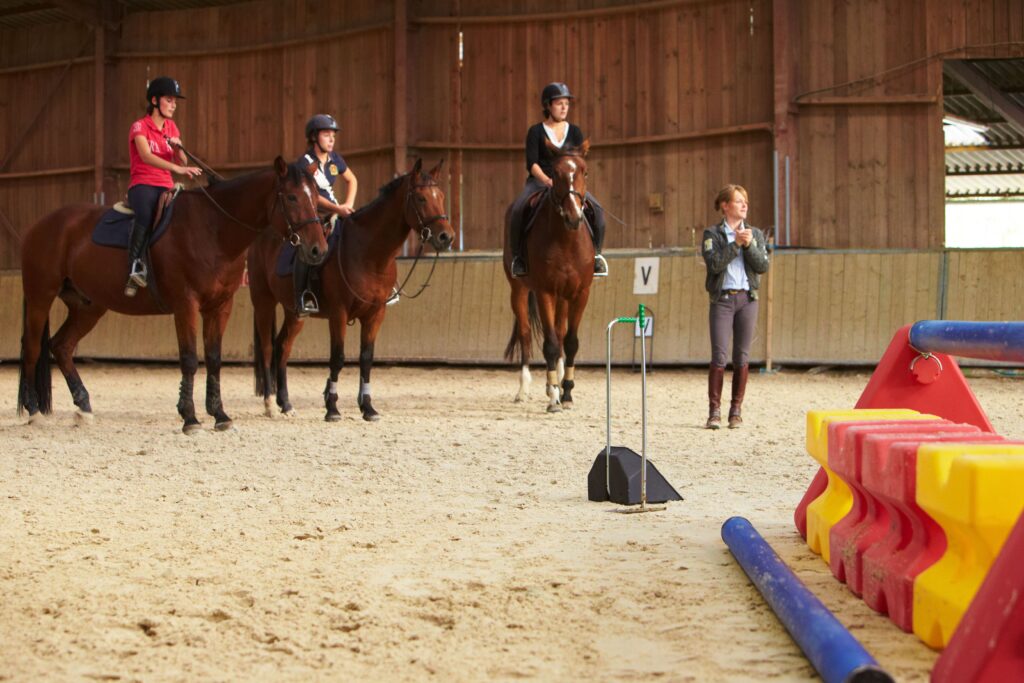 cours en manège