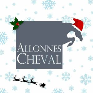 Lire la suite à propos de l’article Goûter de Noël 2024