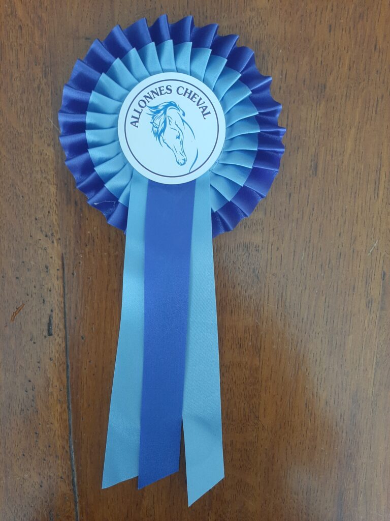 Lire la suite à propos de l’article Concours interne de dressage 2023
