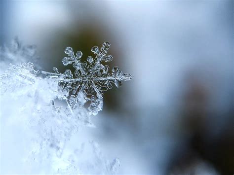 Lire la suite à propos de l’article Le centre équestre sous la neige